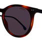 CARRERA Mod. CARRERA2006T_S-SX7-50 - Occhiali da sole unisex | STORE ITALIA | Spedizione gratuita